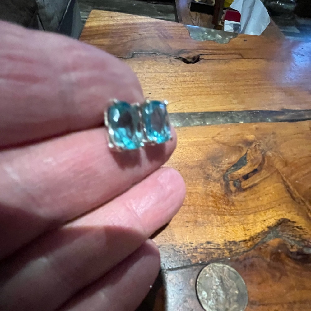 Elegant Silver and Blue Earrings